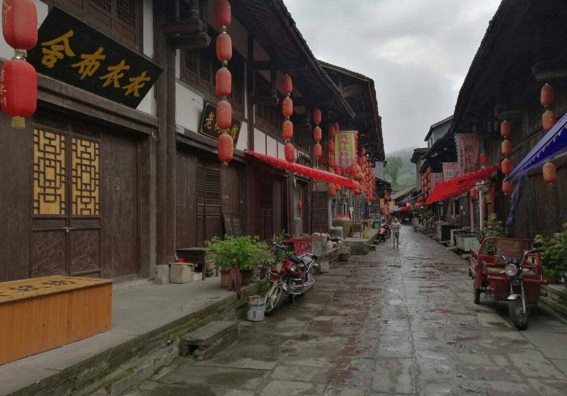 逃离马儿森林